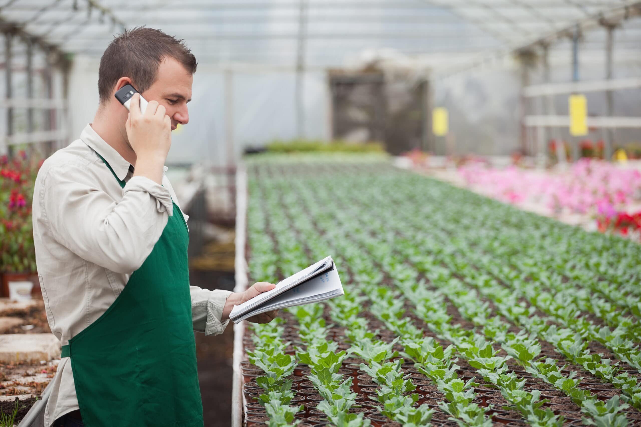 Grower in green house with mobile phone