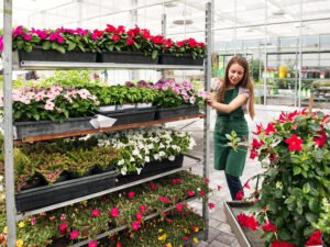 Flower Customers Shelves Shelf Container Flowers plants trolleys containers customers container centralen