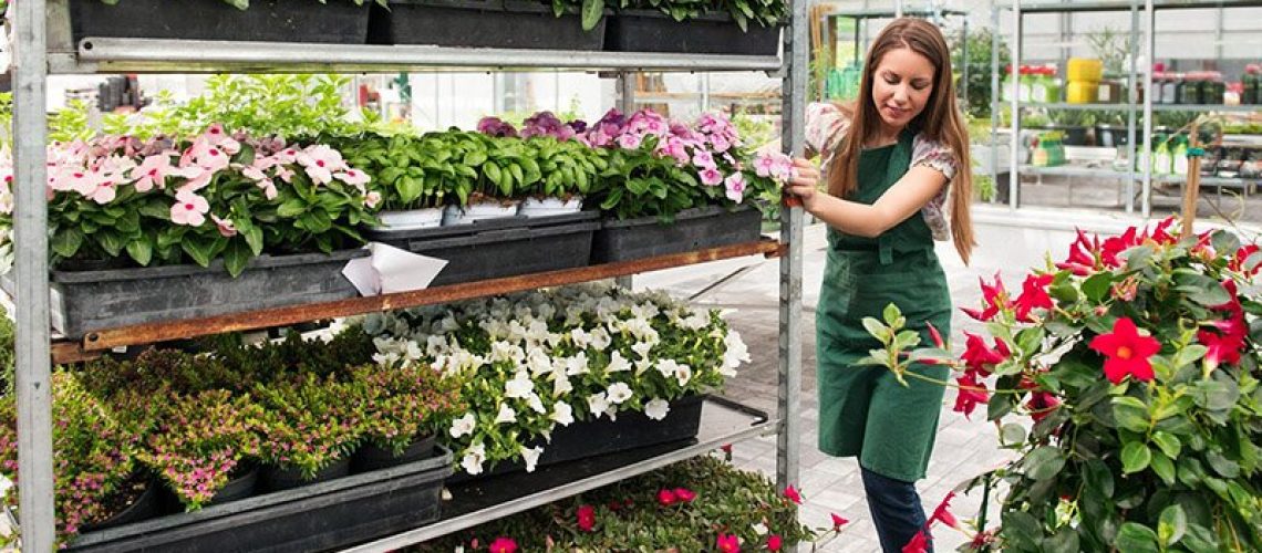 Flower Customers Shelves Shelf Container Flowers plants trolleys containers customers container centralen